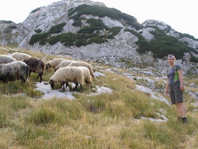 S ovečkama.JPG